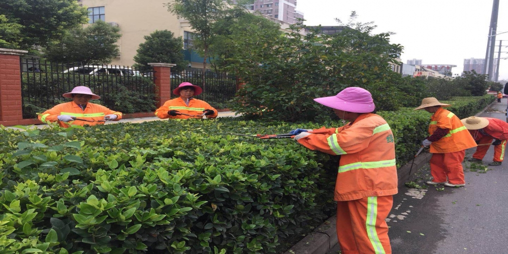 新站區(qū)道路清掃保潔、綠化管養(yǎng)項(xiàng)目