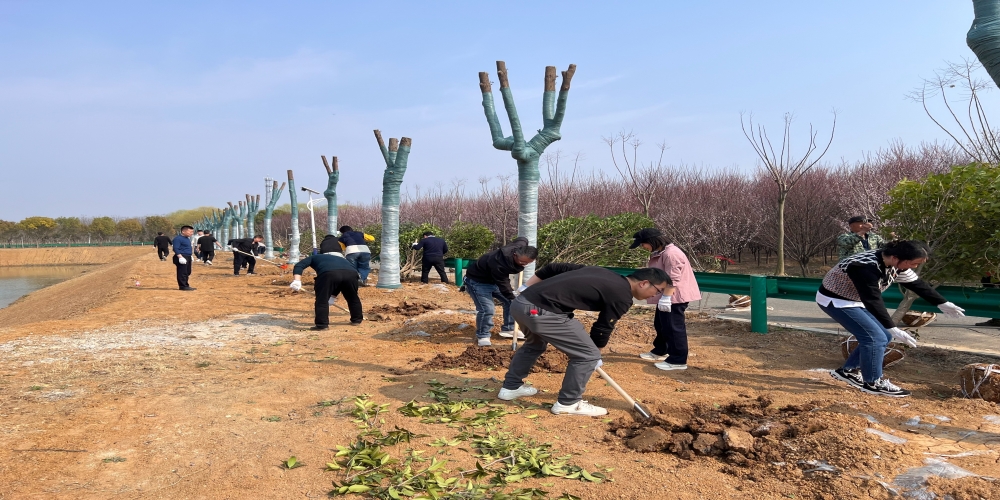 黨建引領(lǐng)共植綠 凝心聚力譜新篇 ——和合生態(tài)、德嘉置業(yè)黨支部赴小廟基地義務(wù)植樹